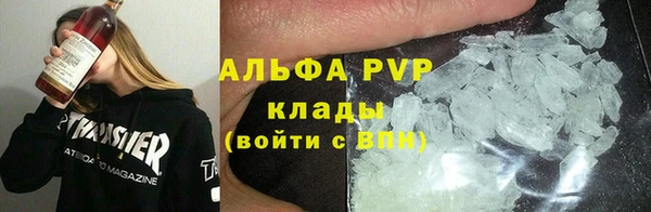 индика Абинск