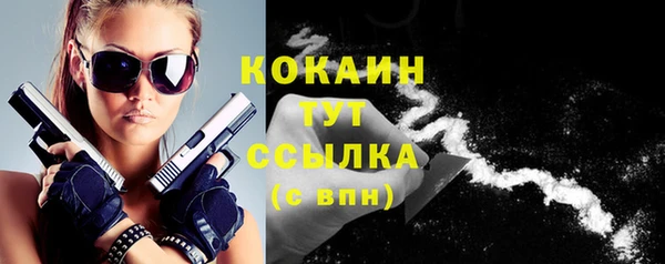 индика Абинск