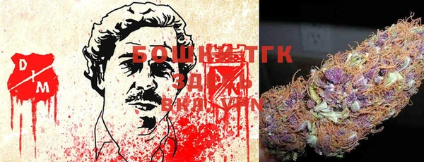 прущий лед Алзамай