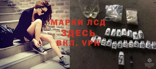 индика Абинск
