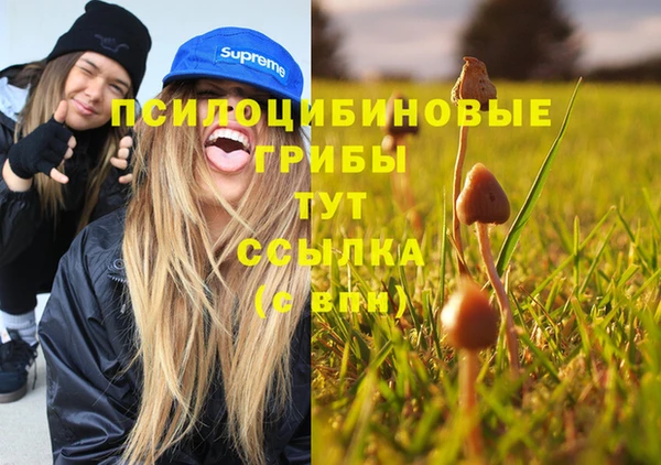 героин Алексин